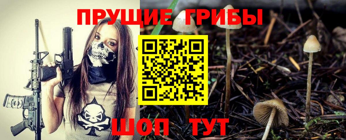 Галлюциногенные грибы Cubensis Нефтекамск
